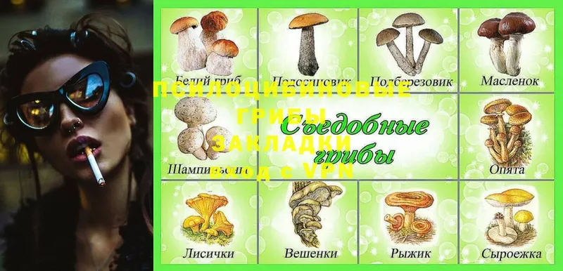 Галлюциногенные грибы GOLDEN TEACHER Сызрань